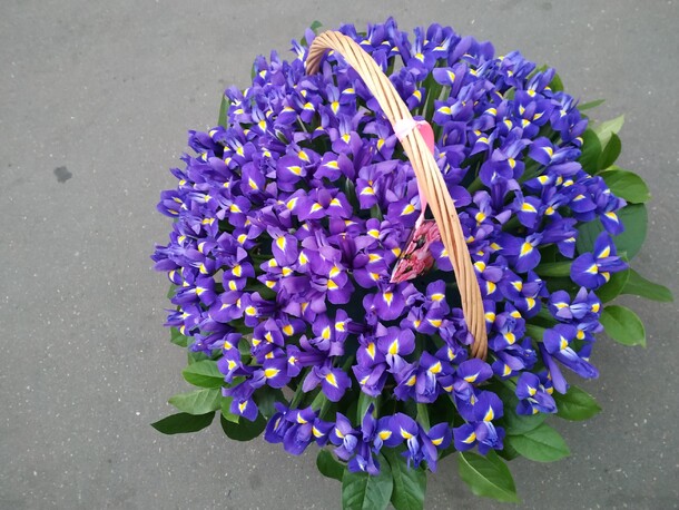 Ирис кис кис, артикул F55857 - 38584 рублей, доставка по городу. Flawery - доставка цветов