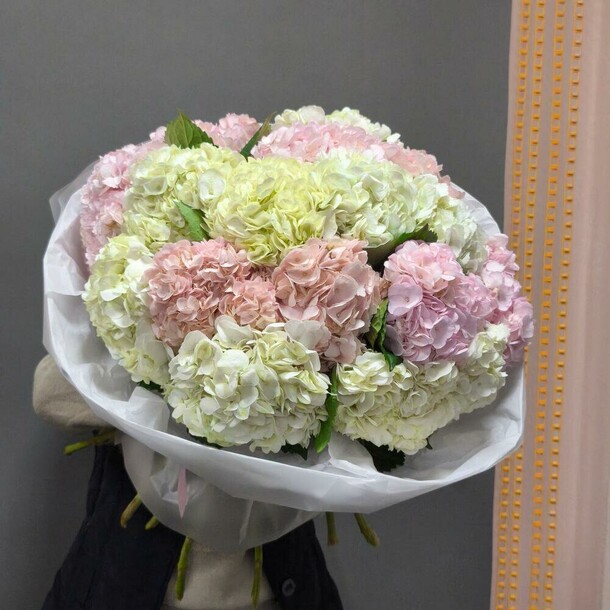 Букетик из гортензий, артикул F1515341 - 13500 рублей, доставка по городу. Flawery - доставка цветов