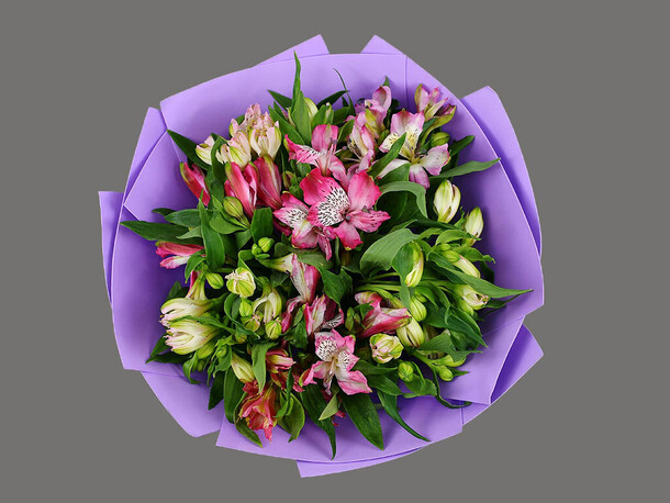 Букет 11 альстромерии микс в упаковке, артикул F1150661 - 2790 рублей, доставка по городу. Flawery - доставка цветов