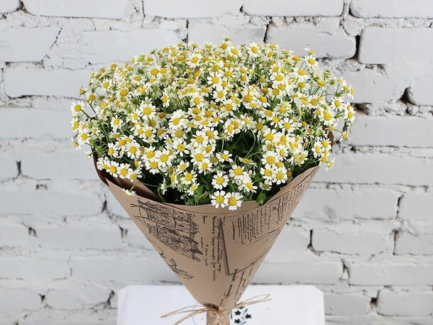 Букет 15 ромашек в крафте, артикул F1151289 - 4775 рублей, доставка по городу. Flawery - доставка цветов