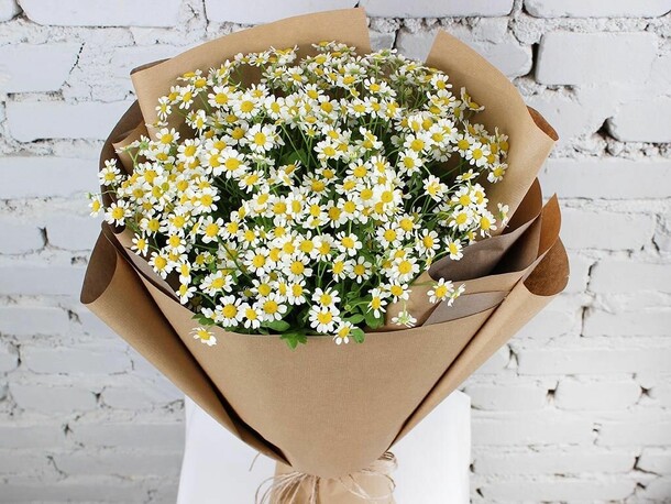 Букет 9 ромашек в крафте, артикул F1151291 - 2697 рублей, доставка по городу. Flawery - доставка цветов