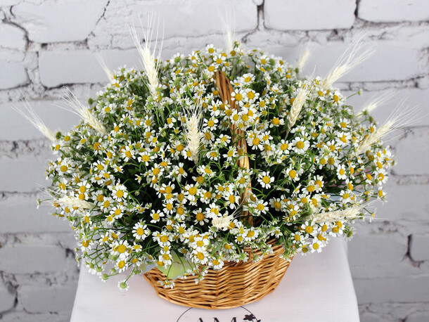 Композиция 29 ромашек в корзине, артикул F1185832 - 11562 рублей, доставка по городу. Flawery - доставка цветов