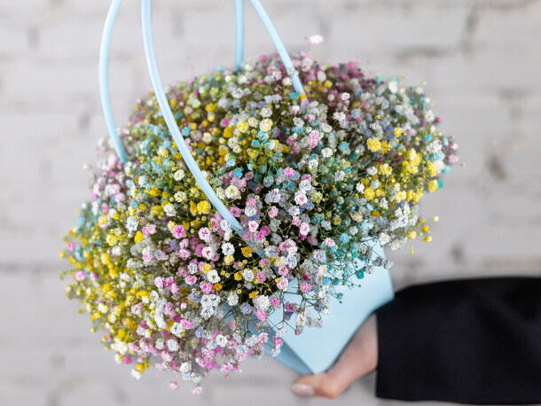 Композиция 7 радужной гипсофилы в кашпо, артикул F1205063 - 2990 рублей, доставка по городу. Flawery - доставка цветов