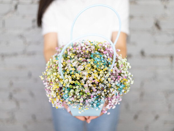 Композиция 5 радужной гипсофилы в кашпо, артикул F1205075 - 2190 рублей, доставка по городу. Flawery - доставка цветов