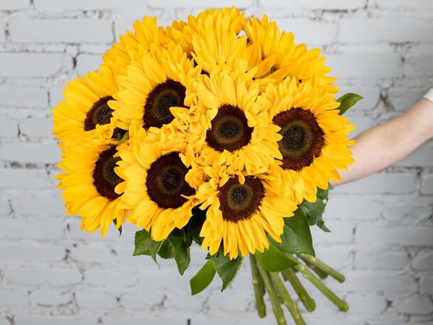 Букет 11 подсолнухов, артикул F1206647 - 4990 рублей, доставка по городу. Flawery - доставка цветов