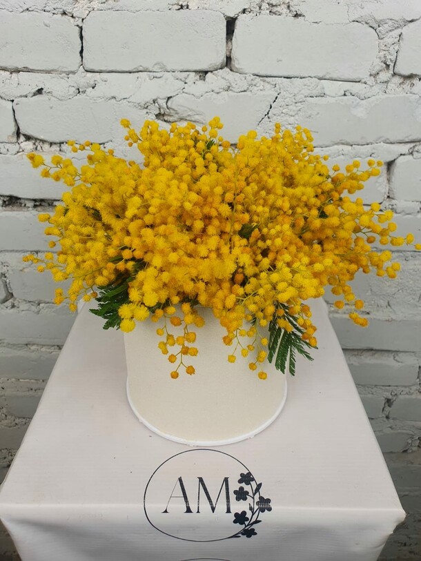 Композиция мимоза в шляпной коробке, артикул F1258842 - 4060 рублей, доставка по городу. Flawery - доставка цветов