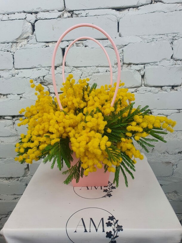 Композиция мимоза в кашпо, артикул F1259012 - 1359 рублей, доставка по городу. Flawery - доставка цветов