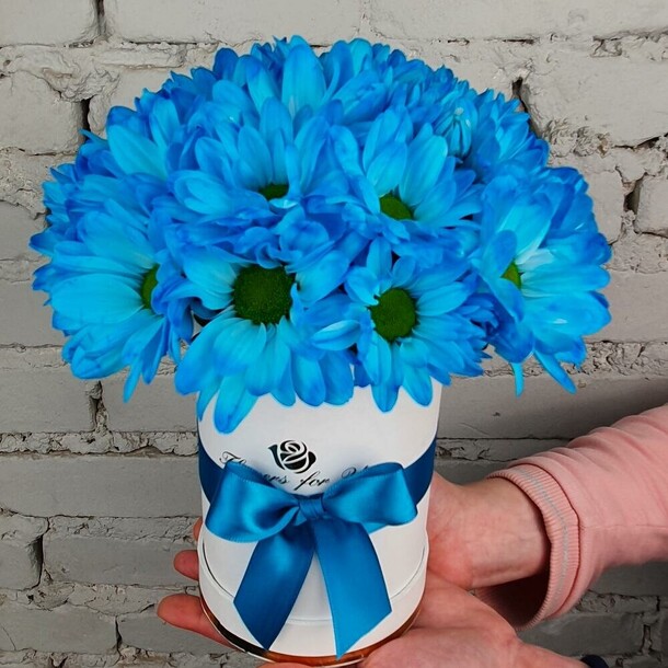 Голубая хризантема в шляпной коробке, артикул F1339134 - 1990 рублей, доставка по городу. Flawery - доставка цветов