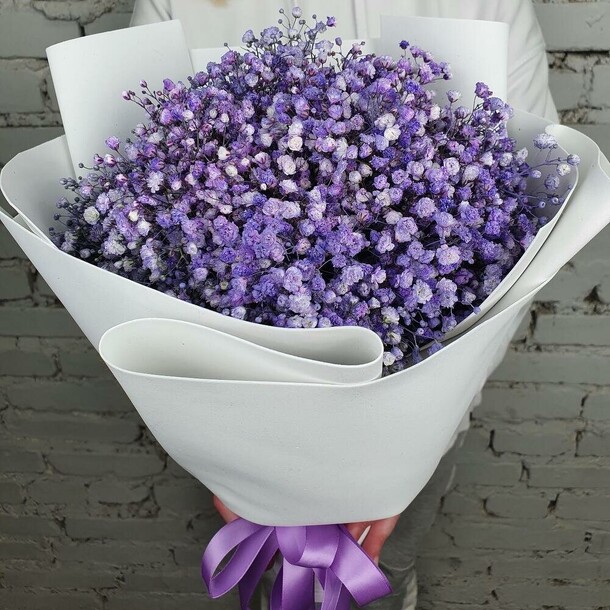 Букет 7 фиолетовой гипсофилы в упаковке, артикул F1339138 - 4279 рублей, доставка по городу. Flawery - доставка цветов
