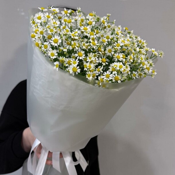 Букет ромашка (танацетум) полевая в упаковке, артикул F1505064 - 6884 рублей, доставка по городу. Flawery - доставка цветов