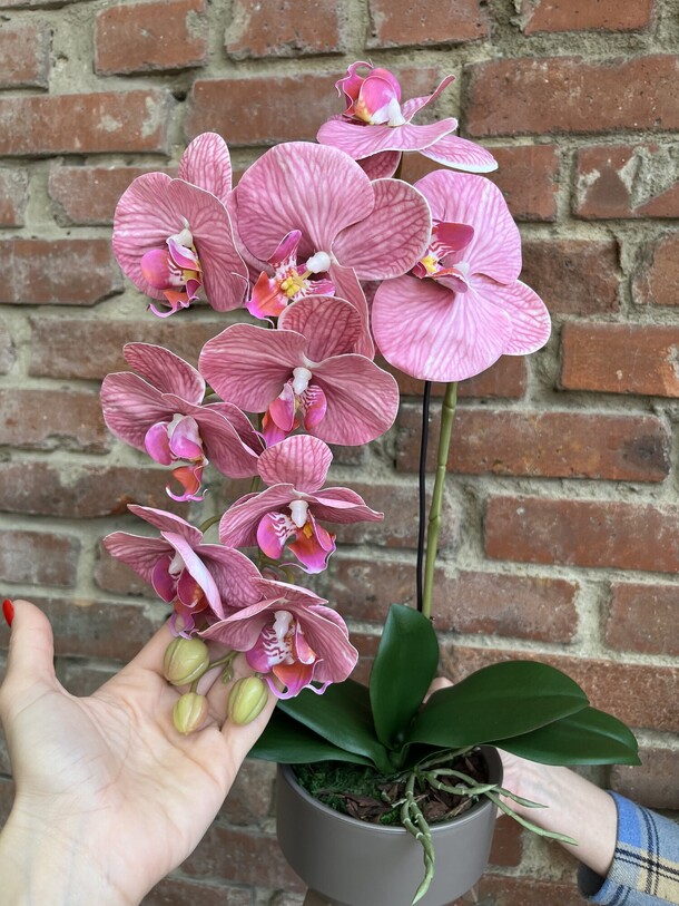 Искусственная орхидея пинк, артикул F1273424 - 3500 рублей, доставка по городу. Flawery - доставка цветов