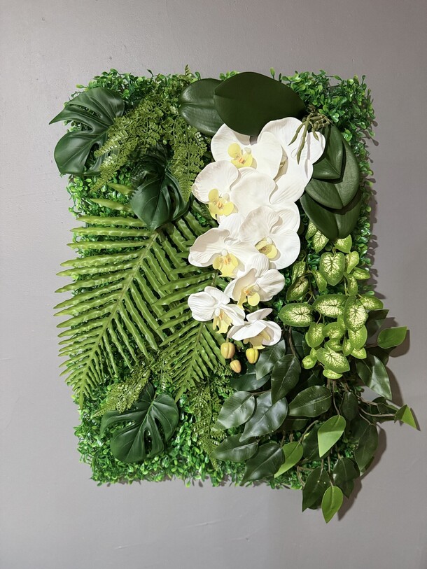 Фитостена «белая орхидея», артикул F1314023 - 4050 рублей, доставка по городу. Flawery - доставка цветов