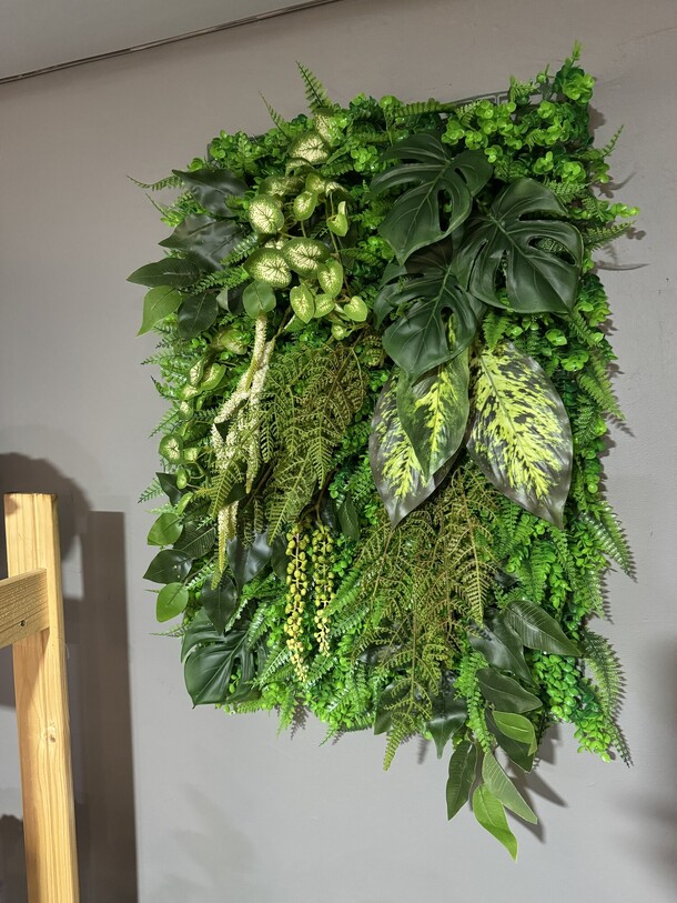 Фитостена премиум, артикул F1314024 - 4150 рублей, доставка по городу. Flawery - доставка цветов