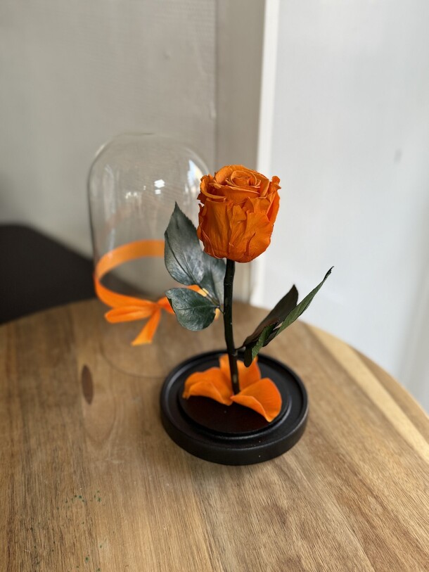 Роза в колбе мини оранжевая, артикул F1199360 - 4790 рублей, доставка по городу. Flawery - доставка цветов