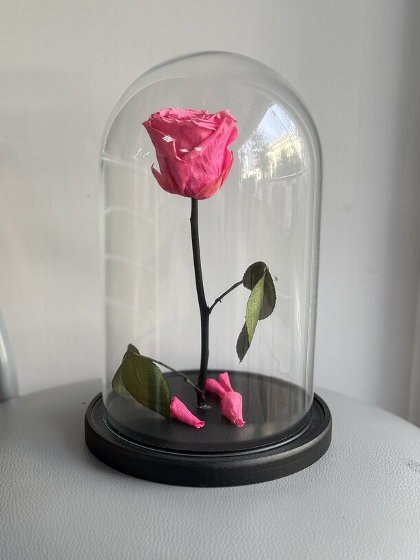 Роза в колбе премиум малиновая, артикул F1317522 - 5990 рублей, доставка по городу. Flawery - доставка цветов