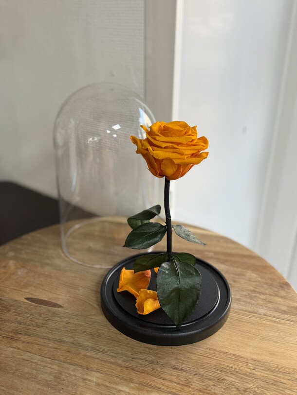 Роза в колбе премиум оранжевая, артикул F1331495 - 5990 рублей, доставка по городу. Flawery - доставка цветов