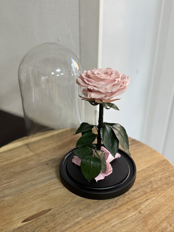 Роза в колбе вип пудра, артикул F1453520 - 7490 рублей, доставка по городу. Flawery - доставка цветов