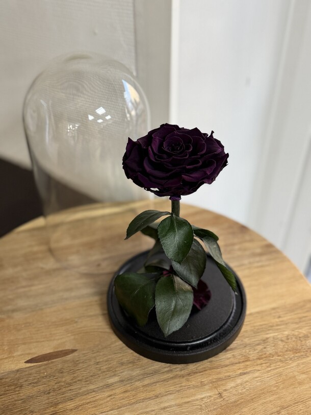 Роза в колбе вип фиолетовая, артикул F1453521 - 7490 рублей, доставка по городу. Flawery - доставка цветов
