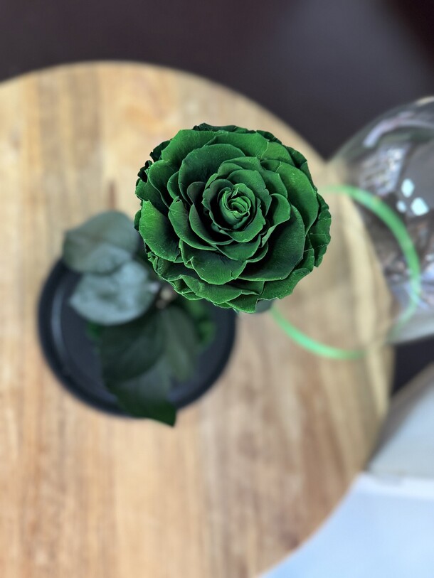 Роза в колбе вип зеленая, артикул F1453522 - 7490 рублей, доставка по городу. Flawery - доставка цветов