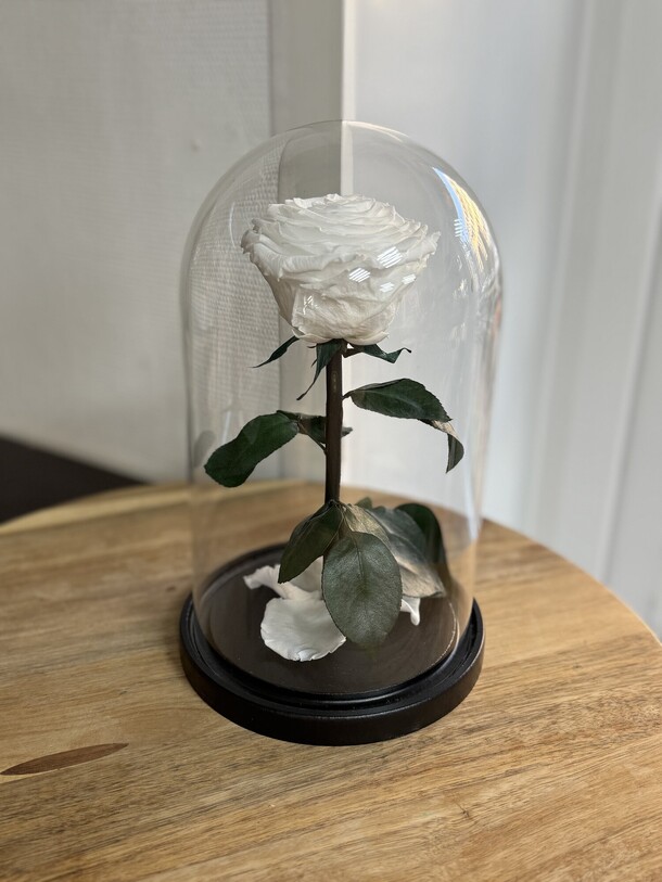 Роза в колбе вип белая, артикул F1453527 - 7490 рублей, доставка по городу. Flawery - доставка цветов