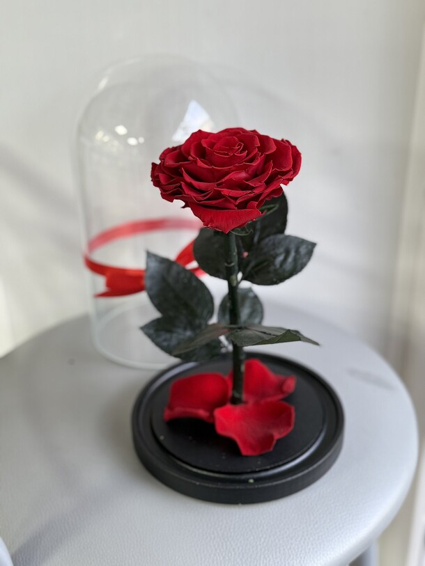 Роза в колбе вип красная, артикул F1453531 - 7490 рублей, доставка по городу. Flawery - доставка цветов