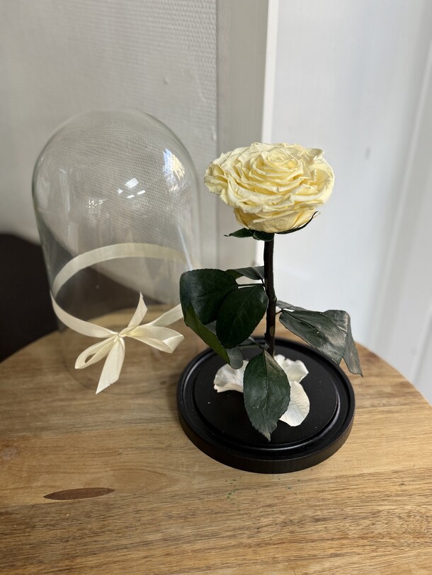 Роза в колбе вип лимонная, артикул F1453535 - 7490 рублей, доставка по городу. Flawery - доставка цветов