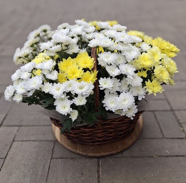Корзина «поле хризантем», артикул F1485884 - 16990 рублей, доставка по городу. Flawery - доставка цветов