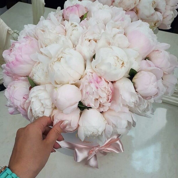 Белые пионы в коробке, артикул F1131907 - 58690 рублей, доставка по городу. Flawery - доставка цветов