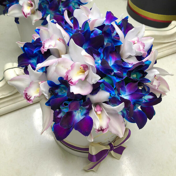 Бело-синие орхидеи в коробке, артикул F1133039 - 9490 рублей, доставка по городу. Flawery - доставка цветов