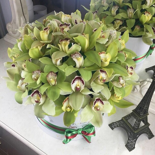 Зеленые орхидеи в коробке, артикул F1133057 - 23290 рублей, доставка по городу. Flawery - доставка цветов