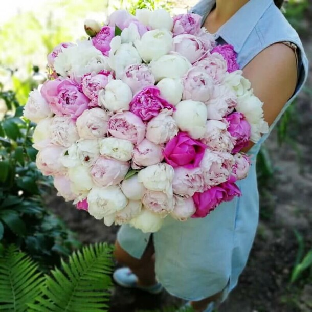 Красивый букет пионов, артикул F1133360 - 58690 рублей, доставка по городу. Flawery - доставка цветов