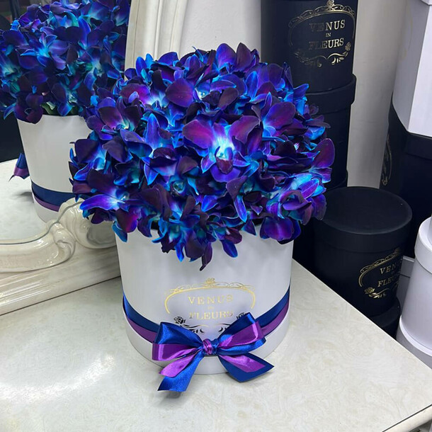 51 синяя орхидея "дендробиум" в коробке, артикул F1156971 - 9990 рублей, доставка по городу. Flawery - доставка цветов