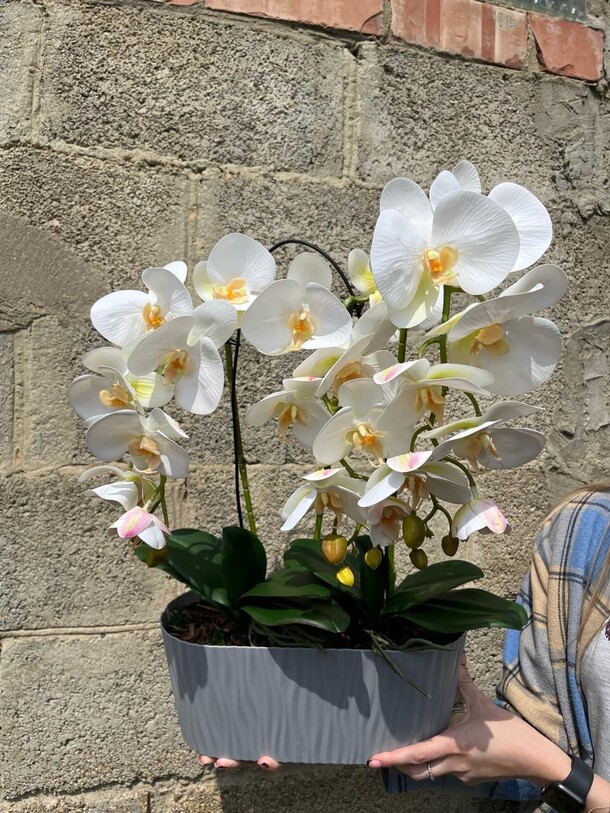 Искусственная орхидея делюкс, артикул F1273429 - 8500 рублей, доставка по городу. Flawery - доставка цветов