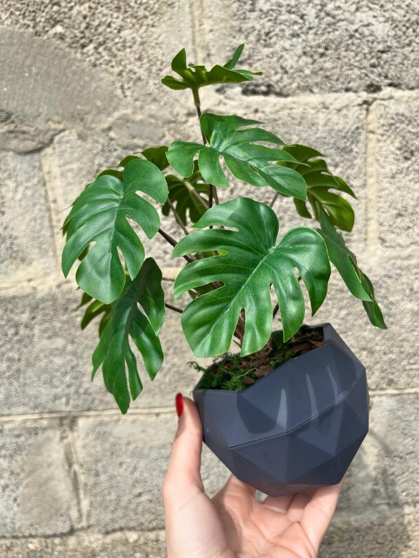 Искусственная монстера, артикул F1273430 - 1500 рублей, доставка по городу. Flawery - доставка цветов