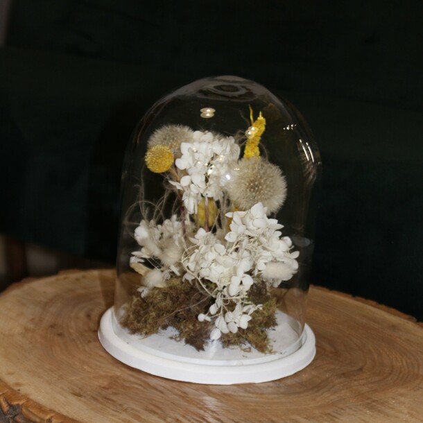 Одуванчик за стеклом, артикул F1156290 - 3900 рублей, доставка по городу. Flawery - доставка цветов