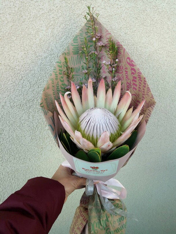 Протея счастья, артикул F54503 - 2870 рублей, доставка по городу. Flawery - доставка цветов