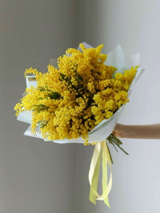 Мимоза, артикул F1532285 - 5299 рублей, доставка по городу. Flawery - доставка цветов