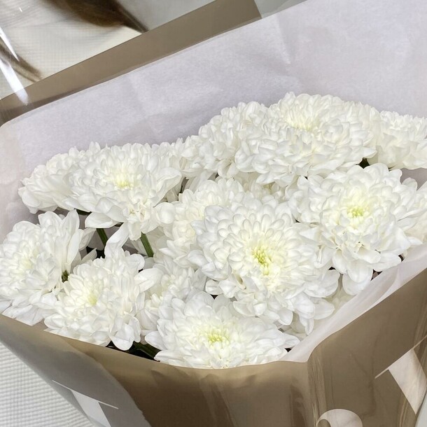 «профитроль» букет из хризантемы, артикул F1379779 - 2903 рублей, доставка по городу. Flawery - доставка цветов