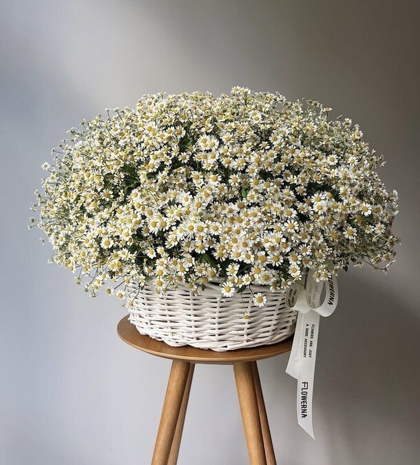 Корзина с ромашками 55, артикул F1536915 - 8729 рублей, доставка по городу. Flawery - доставка цветов