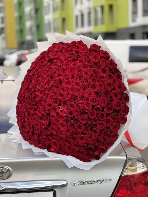 201 роза красная, артикул F1202950 - 60499 рублей, доставка по городу. Flawery - доставка цветов