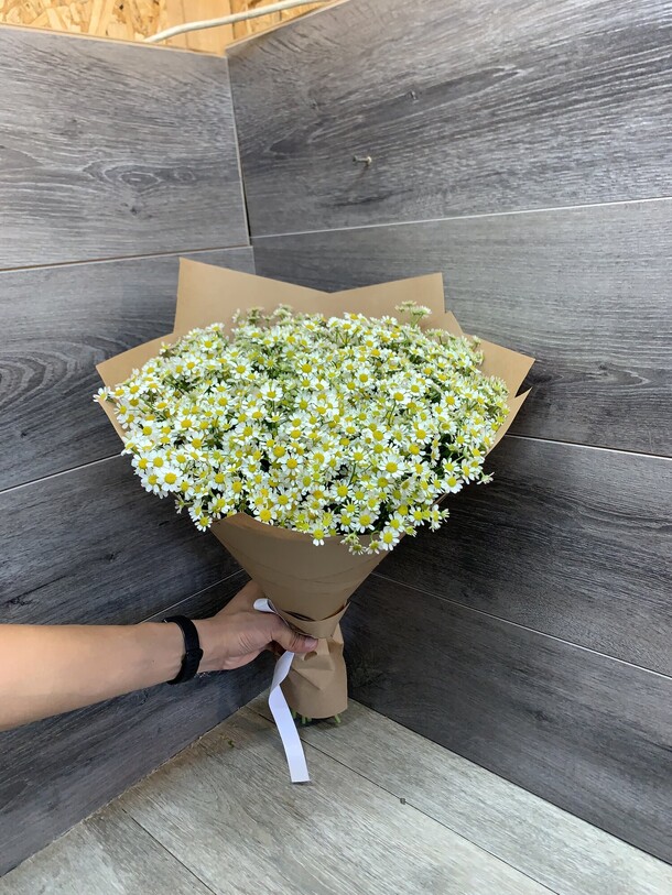 Ромашки, артикул F1206579 - 11788 рублей, доставка по городу. Flawery - доставка цветов