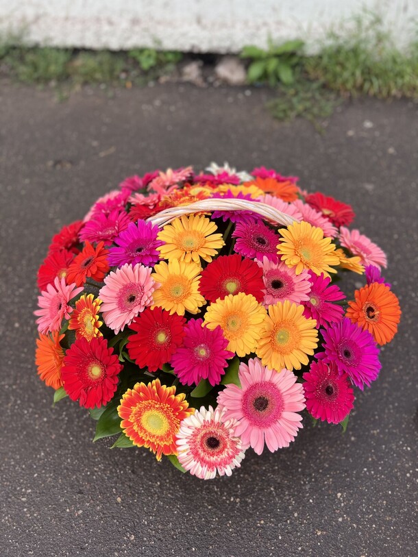 Герберы микс, артикул F1209690 - 35367 рублей, доставка по городу. Flawery - доставка цветов