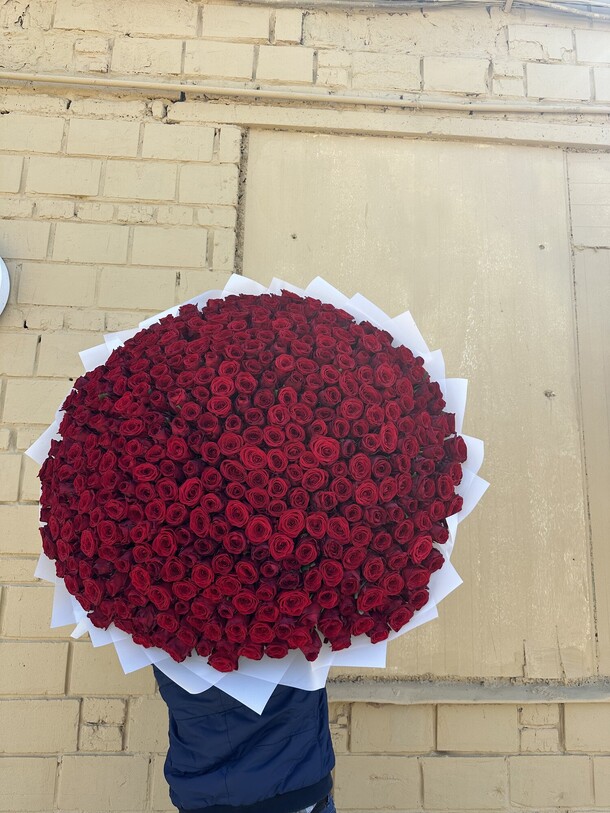 Роза 303, артикул F1291637 - 75900 рублей, доставка по городу. Flawery - доставка цветов