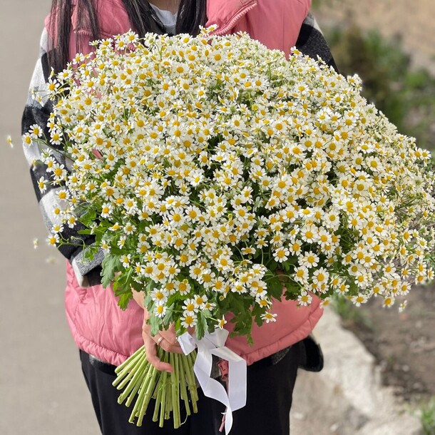 Ромашка, артикул F1111946 - 25724 рублей, доставка по городу. Flawery - доставка цветов