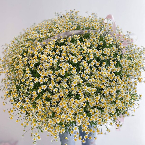 Ромашка в корзине, артикул F1145080 - 68926 рублей, доставка по городу. Flawery - доставка цветов