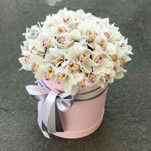 Орхидеи в коробке💐, артикул F1145304 - 42966 рублей, доставка по городу. Flawery - доставка цветов