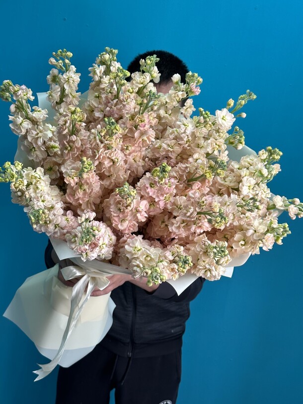 Нежные маттиолы, артикул F1193595 - 26682 рублей, доставка по городу. Flawery - доставка цветов