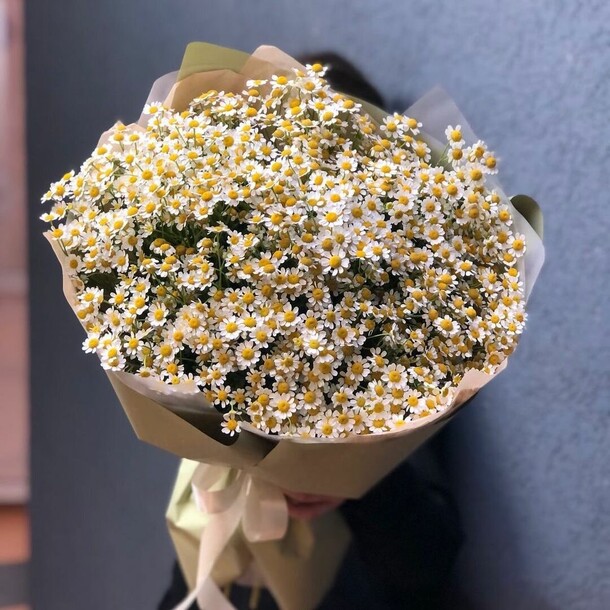 Ромашка, артикул F1204542 - 22402 рублей, доставка по городу. Flawery - доставка цветов