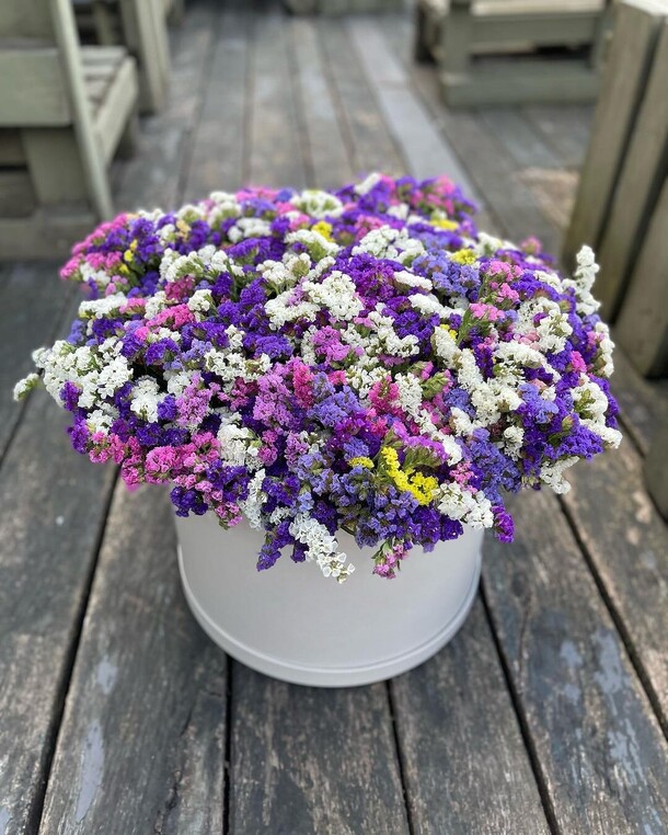 Статица, артикул F1219082 - 62822 рублей, доставка по городу. Flawery - доставка цветов