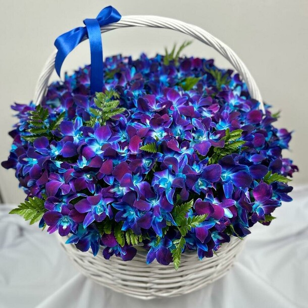 Синие орхидеии в корзине, артикул F1247943 - 46586 рублей, доставка по городу. Flawery - доставка цветов